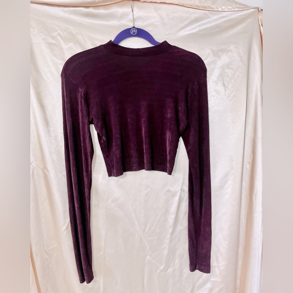 Vintage Y2K  Sheer Crop Top